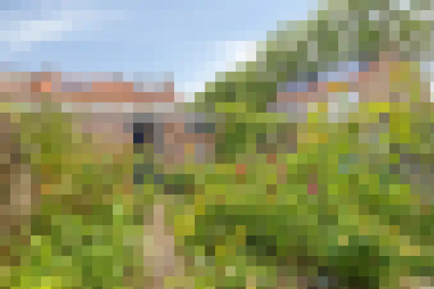 Zwanensingel 63 Wijchen thumbnail 12