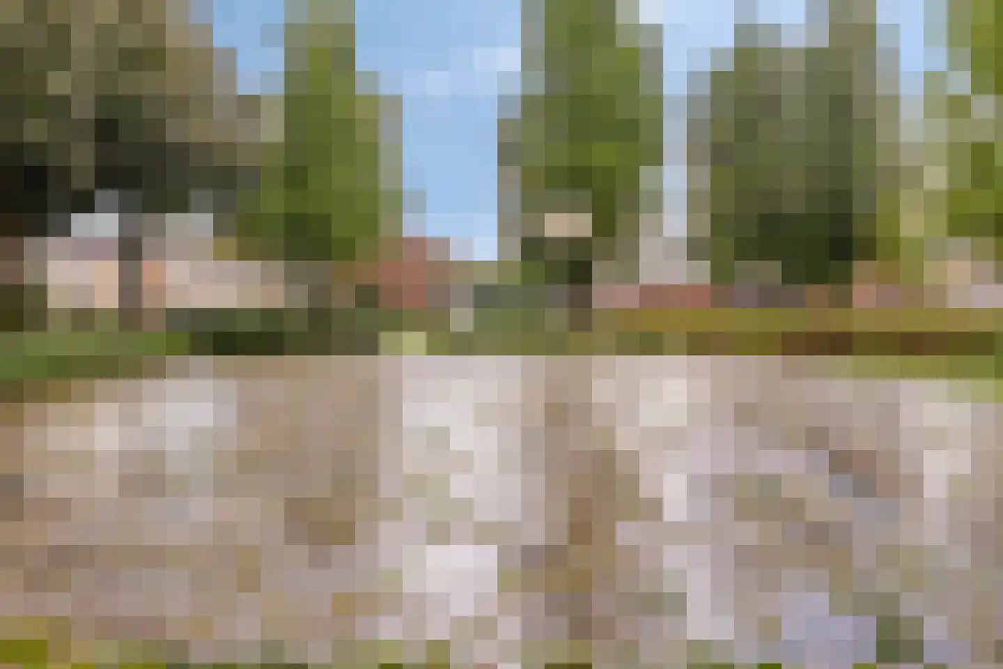 Zwanensingel 63 Wijchen thumbnail 28