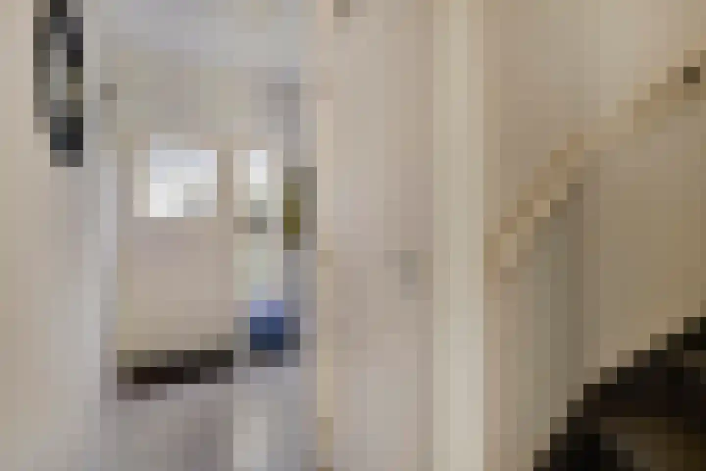 Zwanensingel 63 Wijchen thumbnail 6