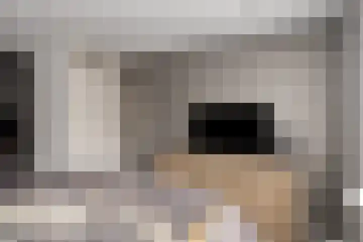 Zwanensingel 71 Wijchen thumbnail 17