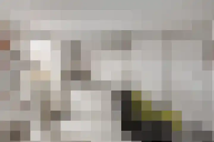 Zwanensingel 71 Wijchen thumbnail 37