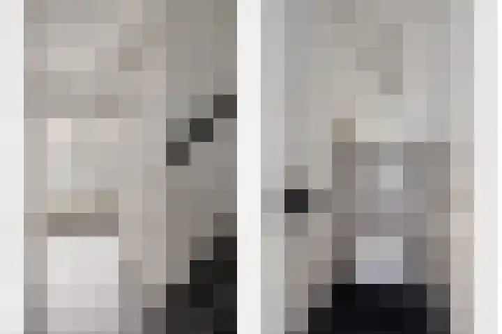 Zwanensingel 71 Wijchen thumbnail 4
