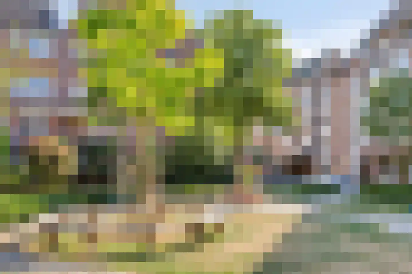 Zwanenstraat 11 Maastricht thumbnail 19