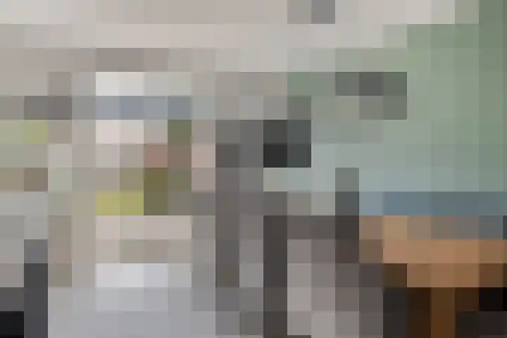 Zwanenstraat 12 Goor thumbnail 11