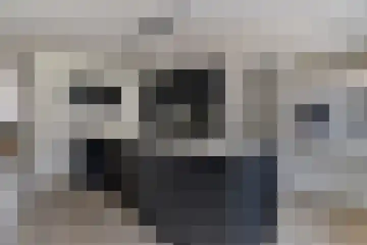 Zwanenstraat 12 Goor thumbnail 13