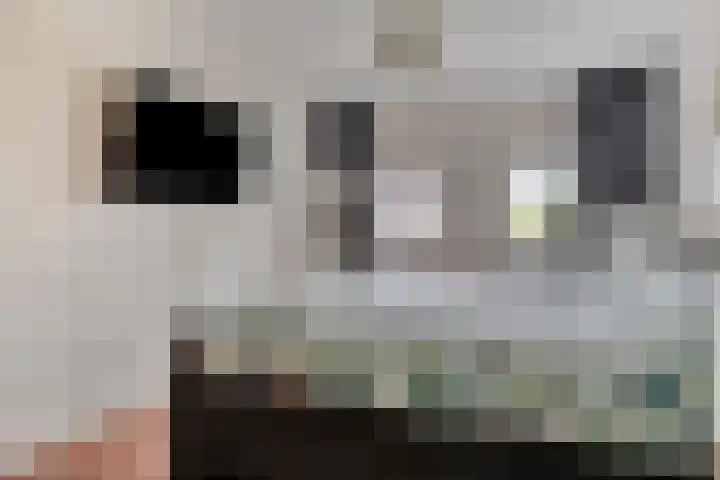 Zwanenstraat 12 Goor thumbnail 20