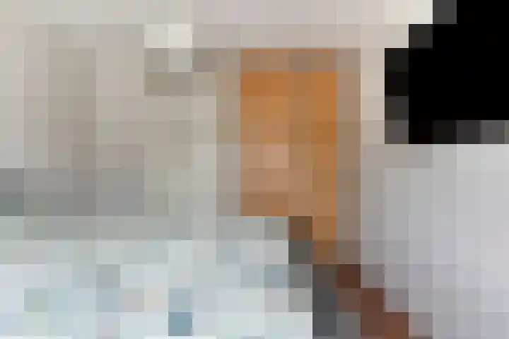 Zwanenstraat 12 Goor thumbnail 22