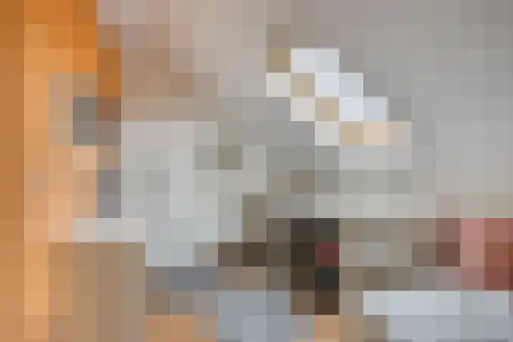 Zwanenstraat 12 Goor thumbnail 32
