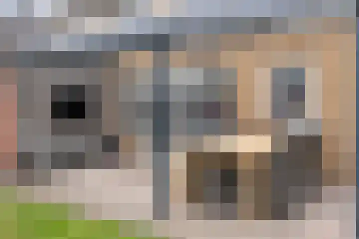 Zwanenstraat 12 Goor thumbnail 38