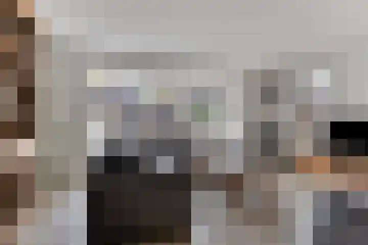 Zwanenstraat 12 Goor thumbnail 6
