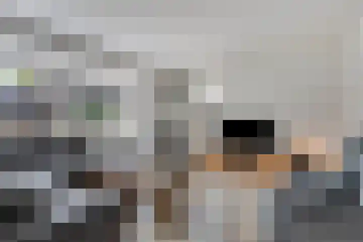 Zwanenstraat 12 Goor thumbnail 7