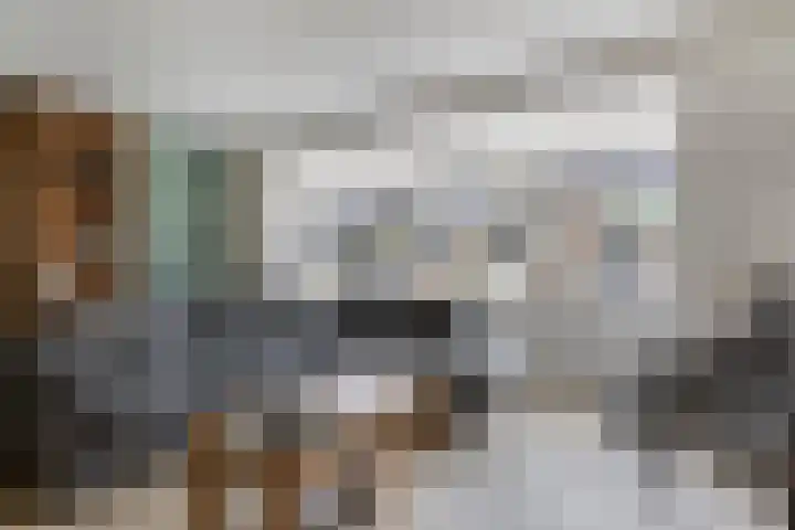 Zwanenstraat 12 Goor thumbnail 8