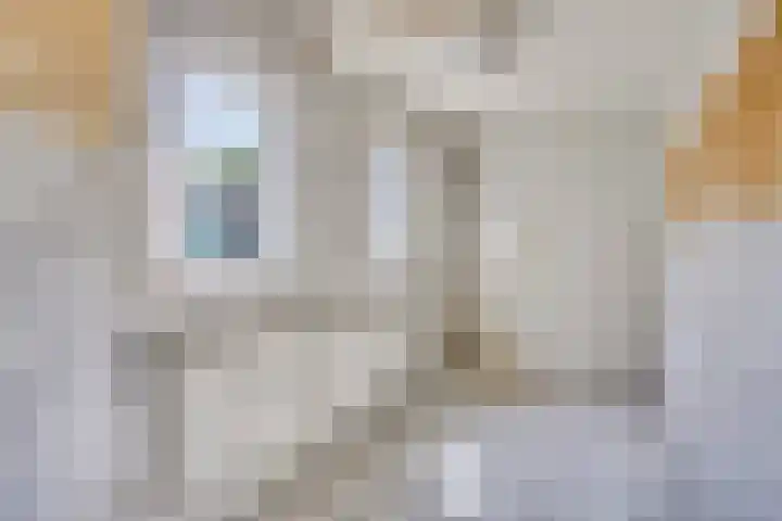 Zwanenstraat 14 Heerlen thumbnail 8
