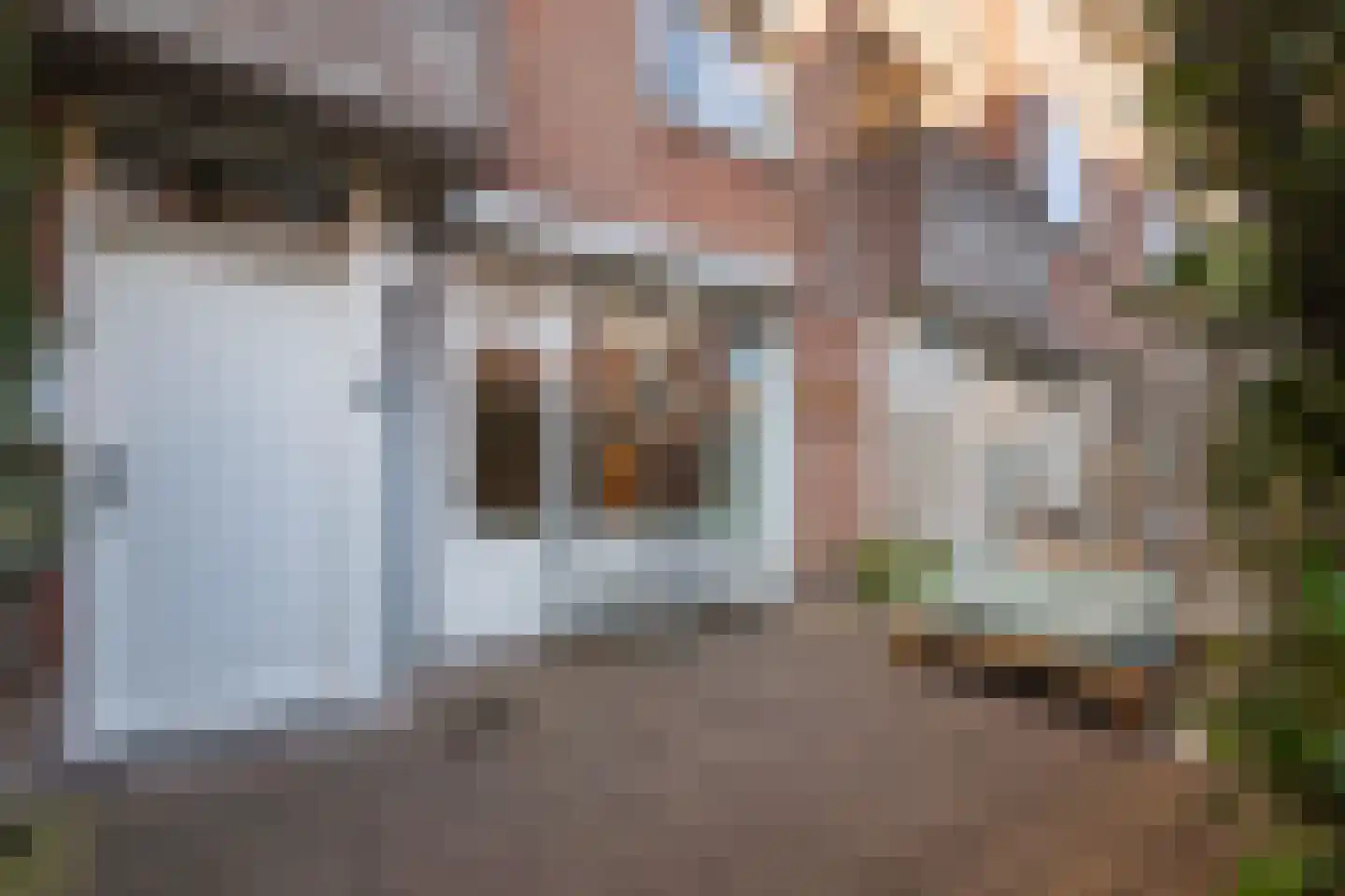 Zwanenstraat 16 Maastricht thumbnail 17