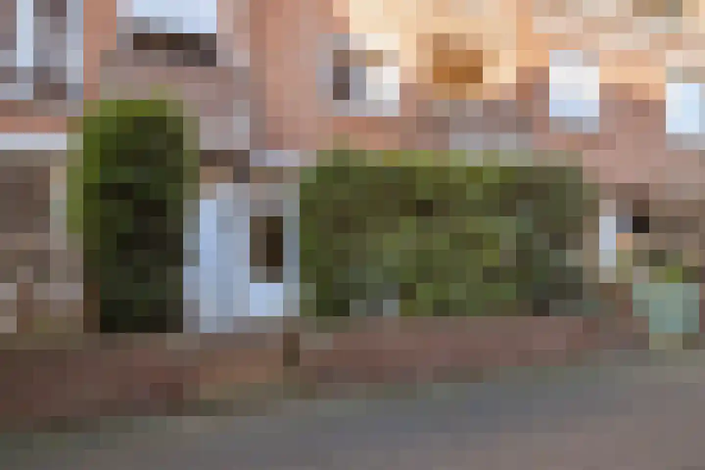 Zwanenstraat 16 Maastricht thumbnail 18