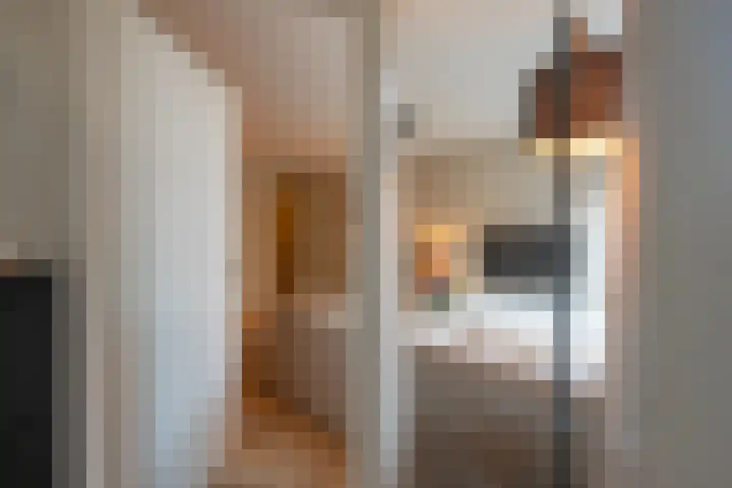 Zwanenstraat 16 Maastricht thumbnail 7