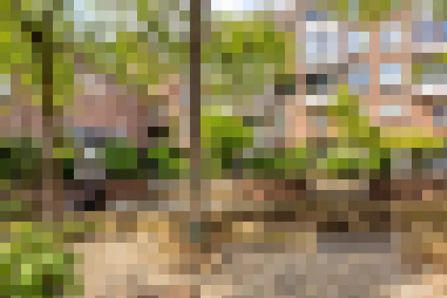 Zwanenstraat 3 B Maastricht thumbnail 31