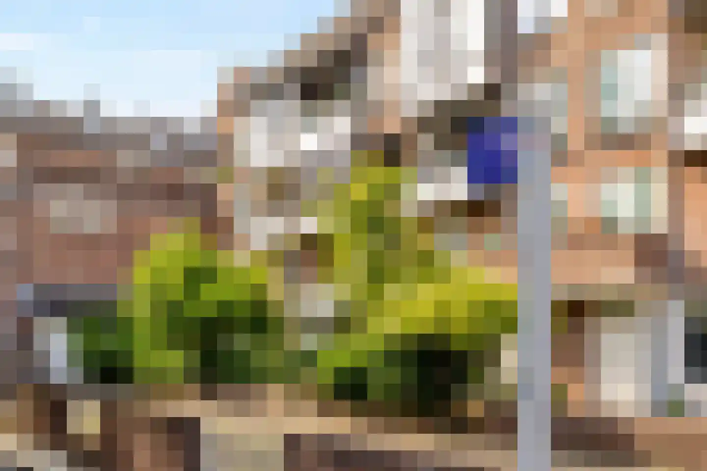 Zwanenstraat 3 B Maastricht thumbnail 34