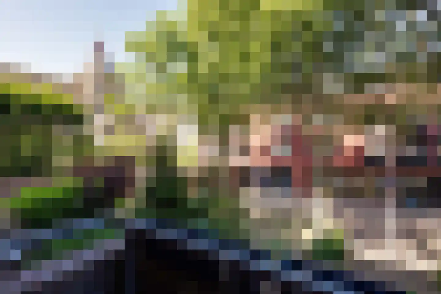 Zwanenstraat 34 Maastricht thumbnail 17