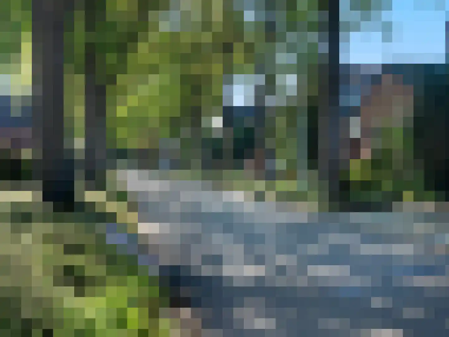 Zwanenstraat 44 Nijmegen thumbnail 21