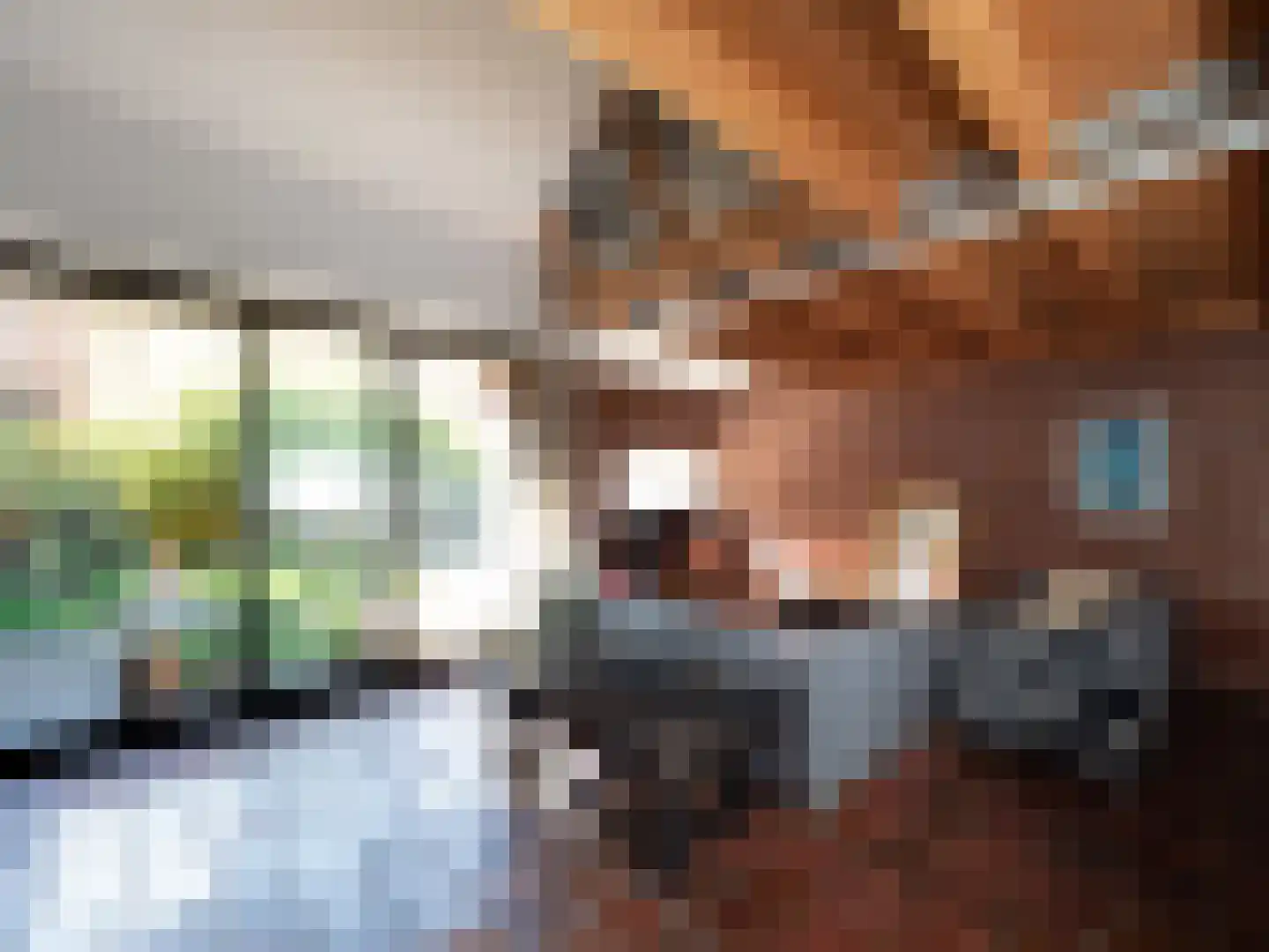 Zwanenstraat 44 Nijmegen thumbnail 4