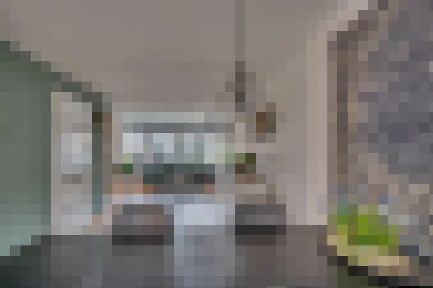 Zwanenstraat 47 Venlo thumbnail 11
