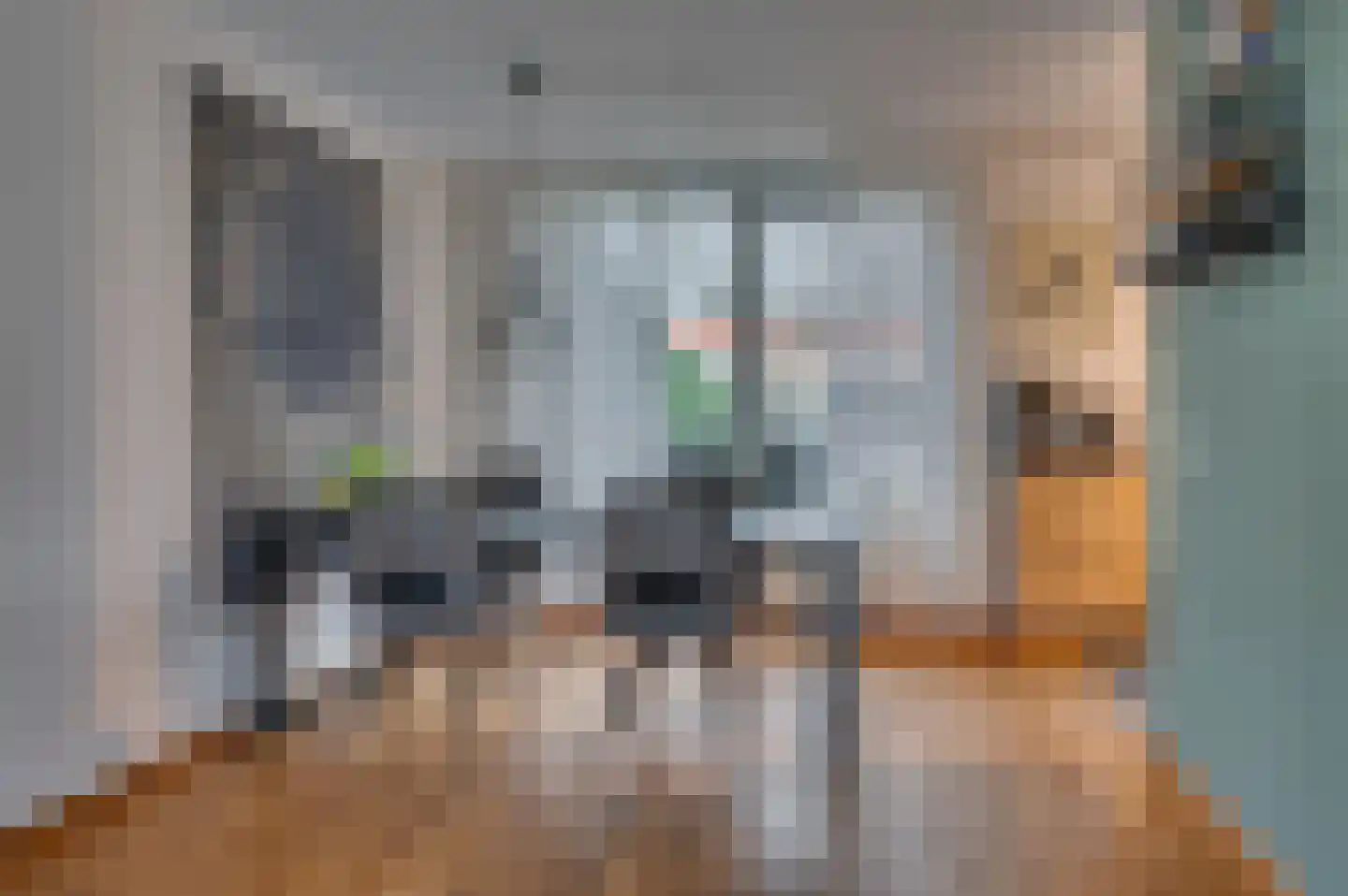 Zwanenstraat 47 Venlo thumbnail 12