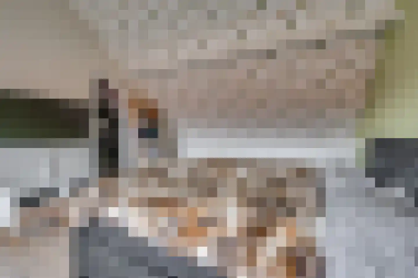 Zwanenstraat 47 Venlo thumbnail 31