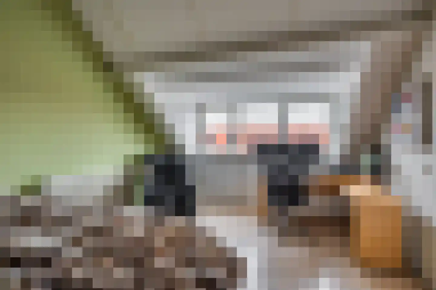 Zwanenstraat 47 Venlo thumbnail 35