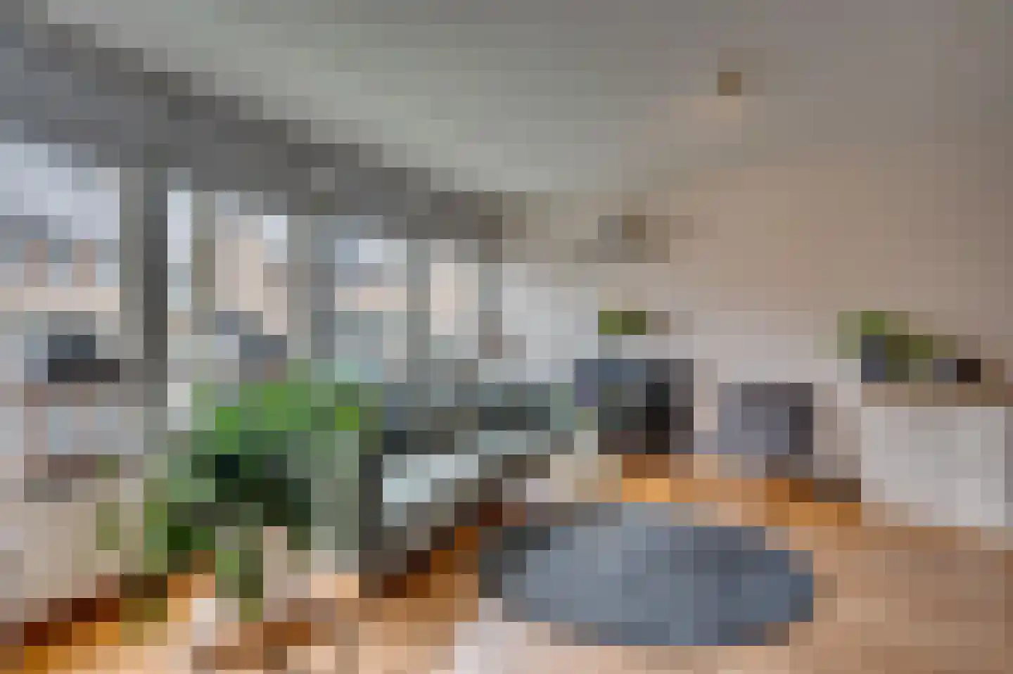 Zwanenstraat 47 Venlo thumbnail 6