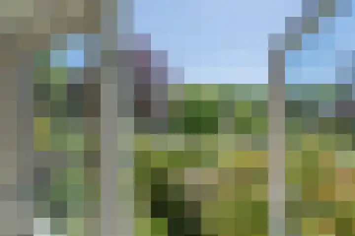 Zwanenstraat 7 Assen thumbnail 23