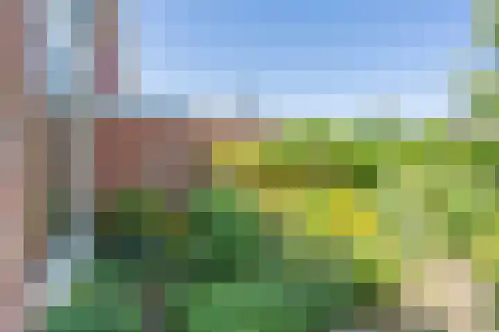 Zwanenstraat 7 Assen thumbnail 34