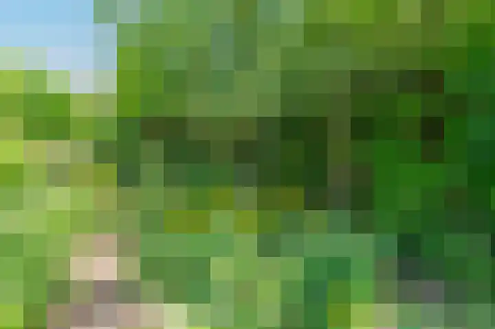 Zwanenstraat 7 Assen thumbnail 37