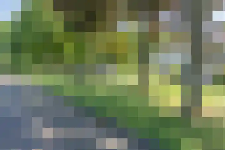 Zwanenstraat 7 Assen thumbnail 40
