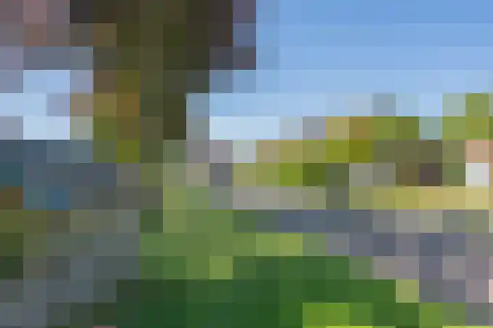 Zwanenstraat 7 Assen thumbnail 41