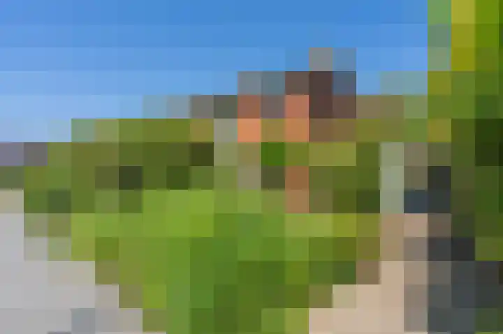 Zwanenstraat 7 Assen thumbnail 8