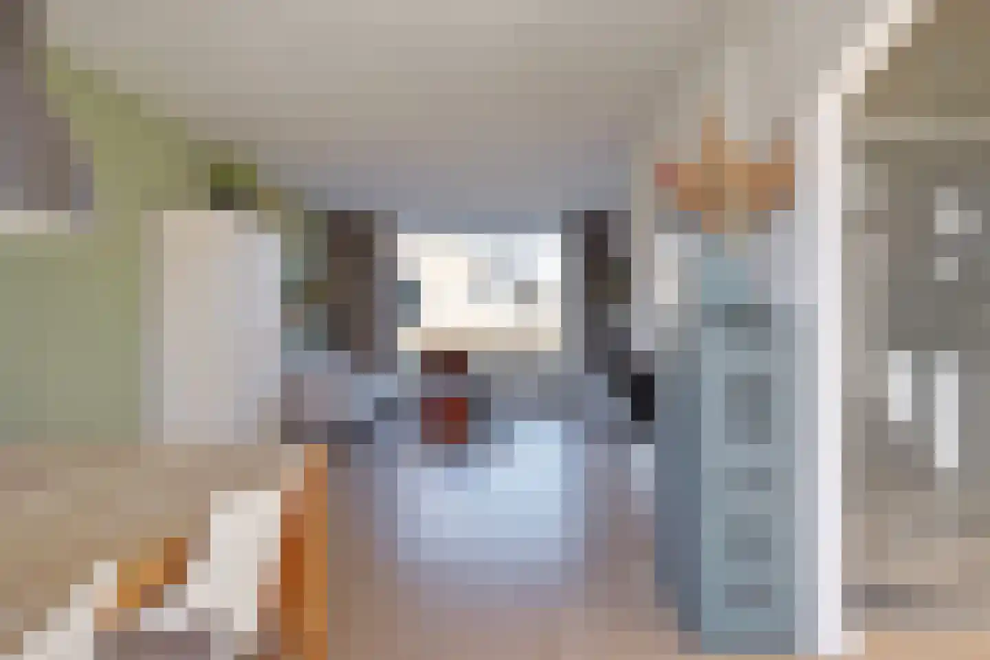 Zwanenstrek 30 Terheijden thumbnail 14