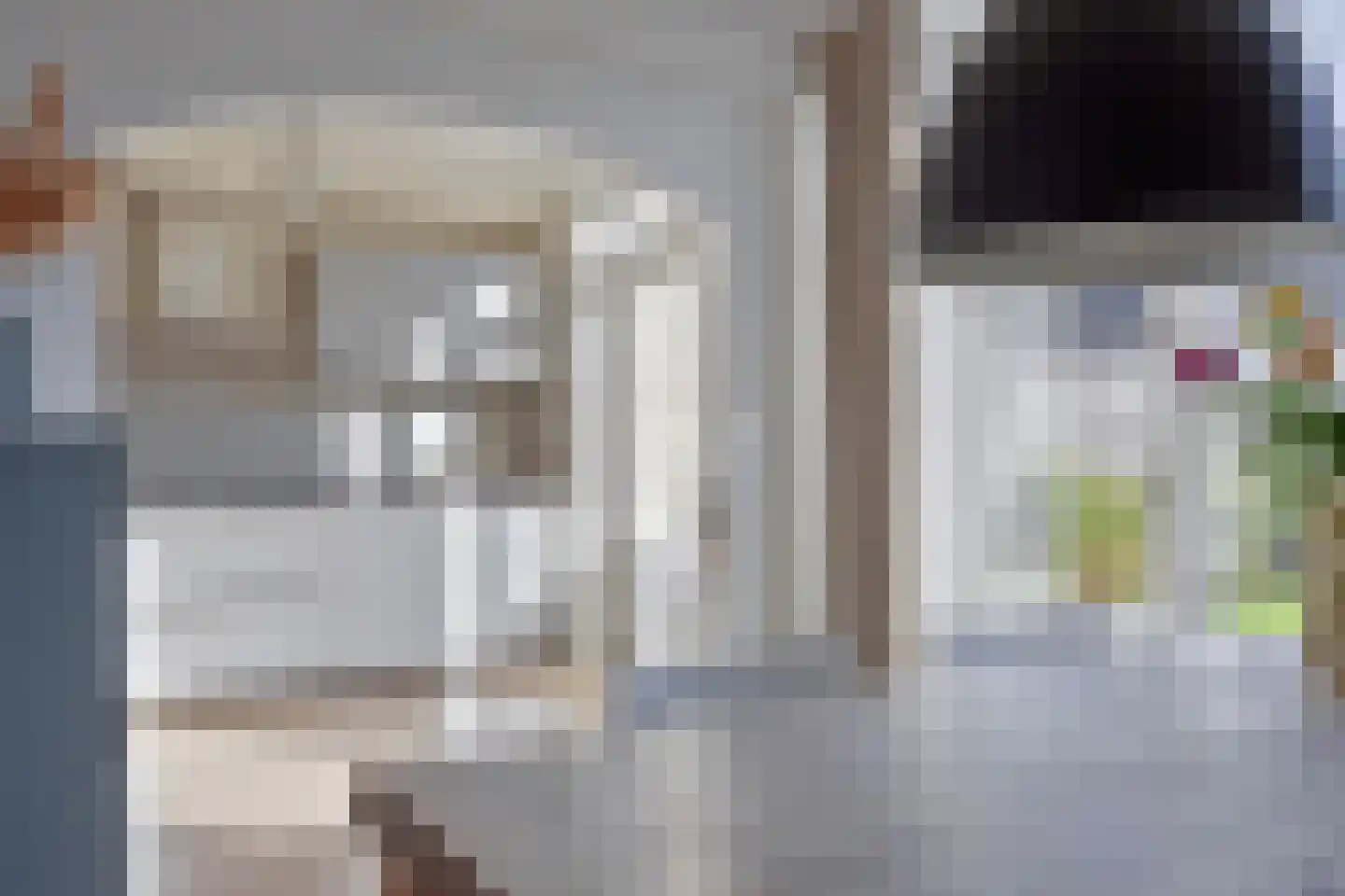 Zwanenstrek 30 Terheijden thumbnail 16