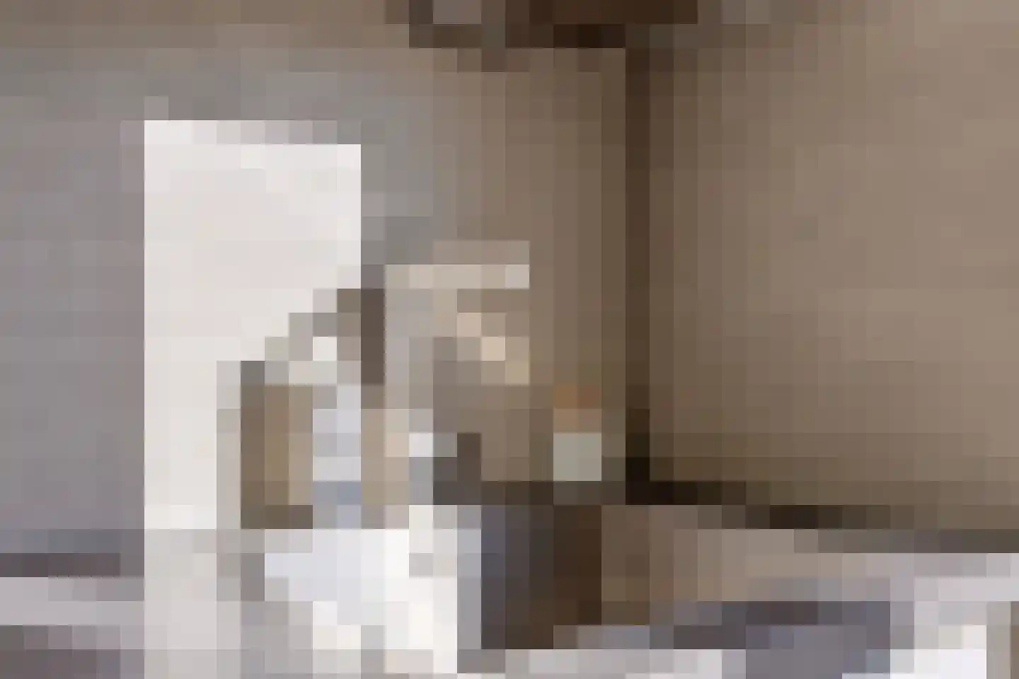 Zwanenstrek 30 Terheijden thumbnail 18