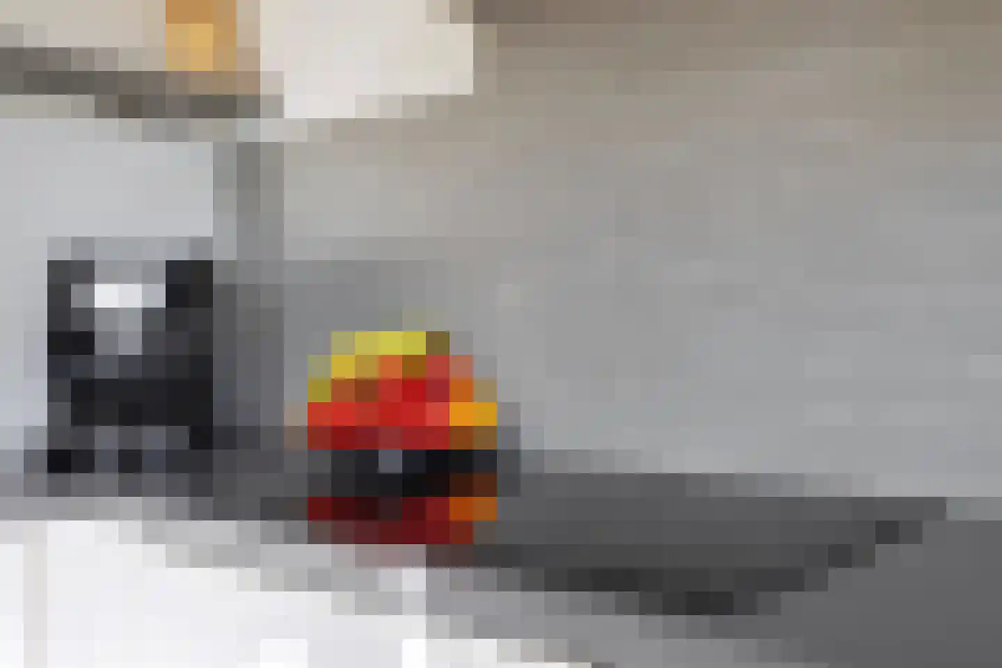 Zwanenstrek 30 Terheijden thumbnail 19