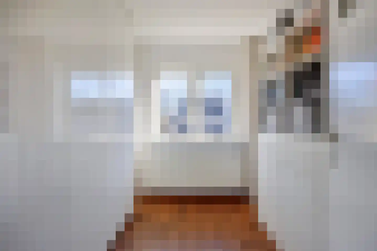 Zwanenstrek 30 Terheijden thumbnail 31