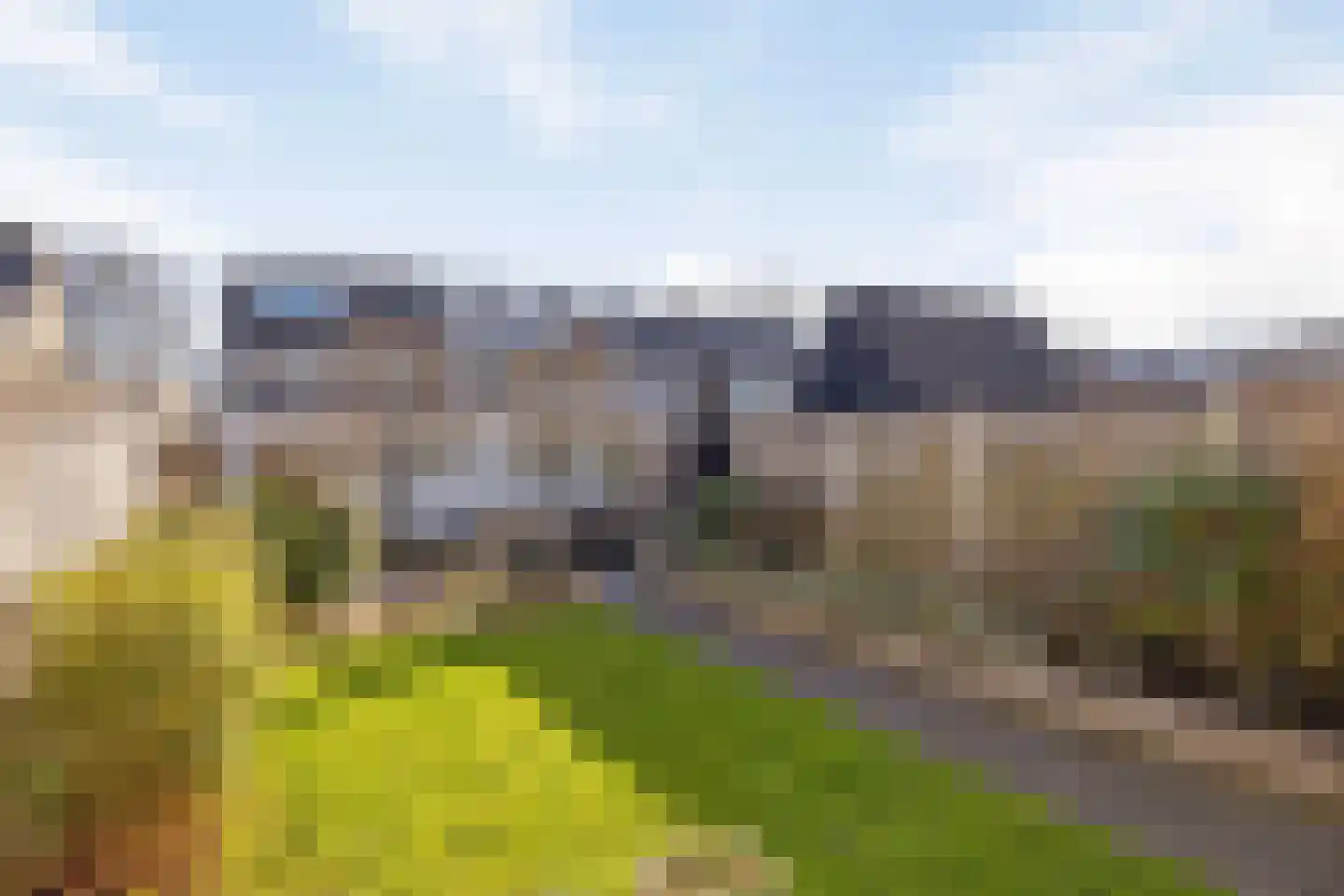 Zwanenstrek 30 Terheijden thumbnail 37