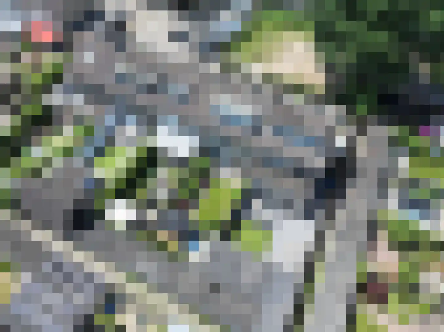 Zwanenstrek 30 Terheijden thumbnail 50