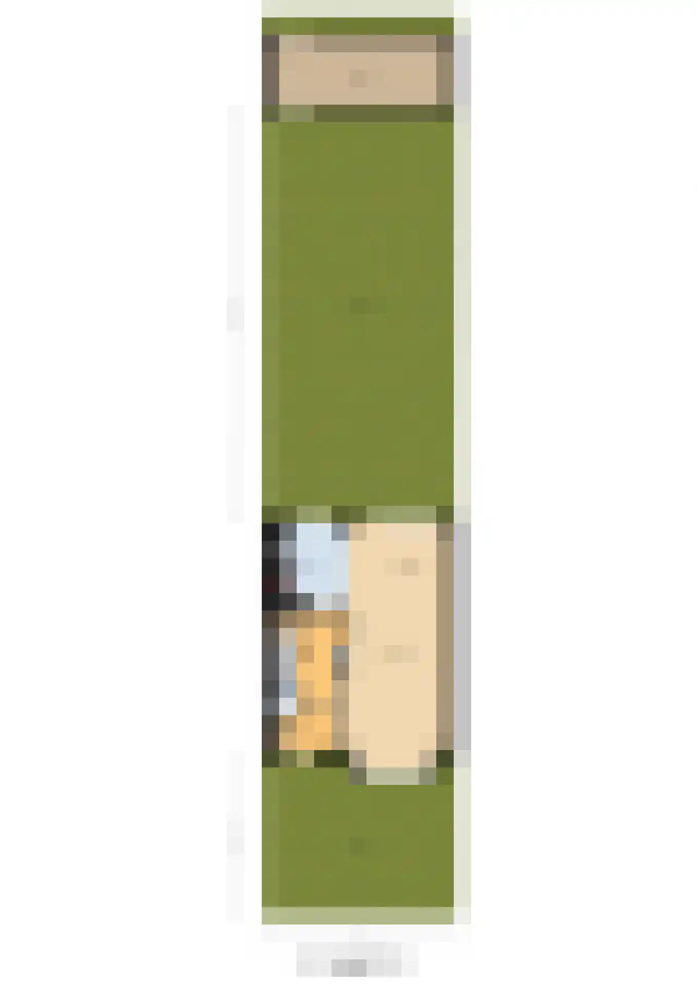 Zwanenstrek 30 Terheijden thumbnail 59