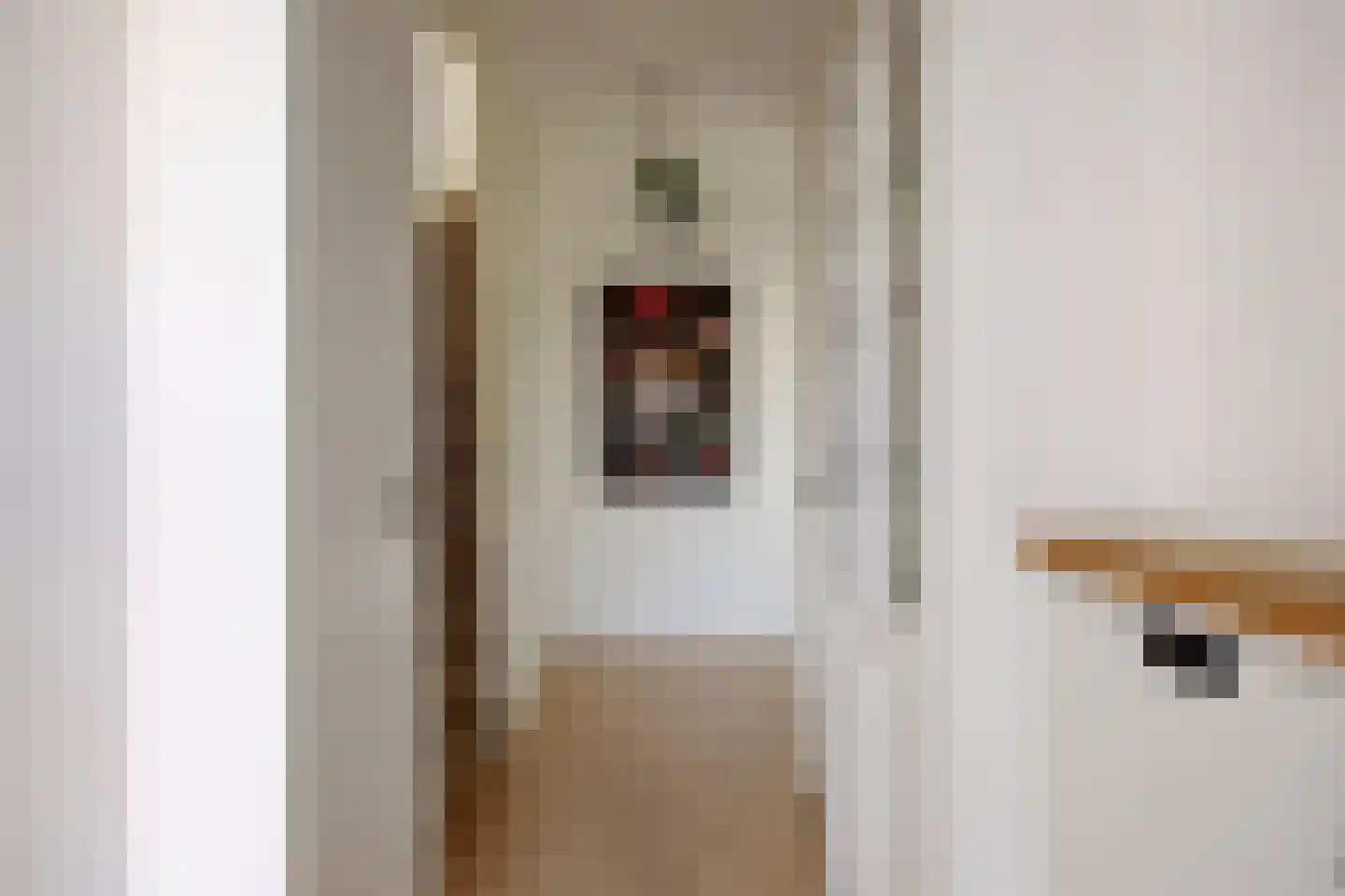 Zwanenstrek 30 Terheijden thumbnail 6