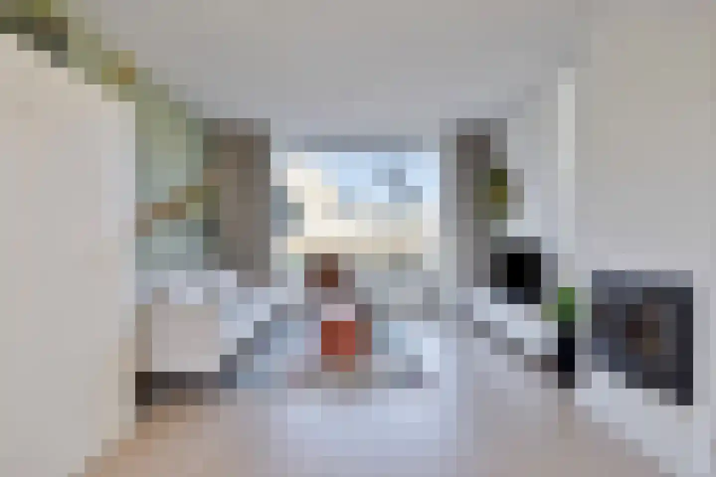 Zwanenstrek 30 Terheijden thumbnail 8