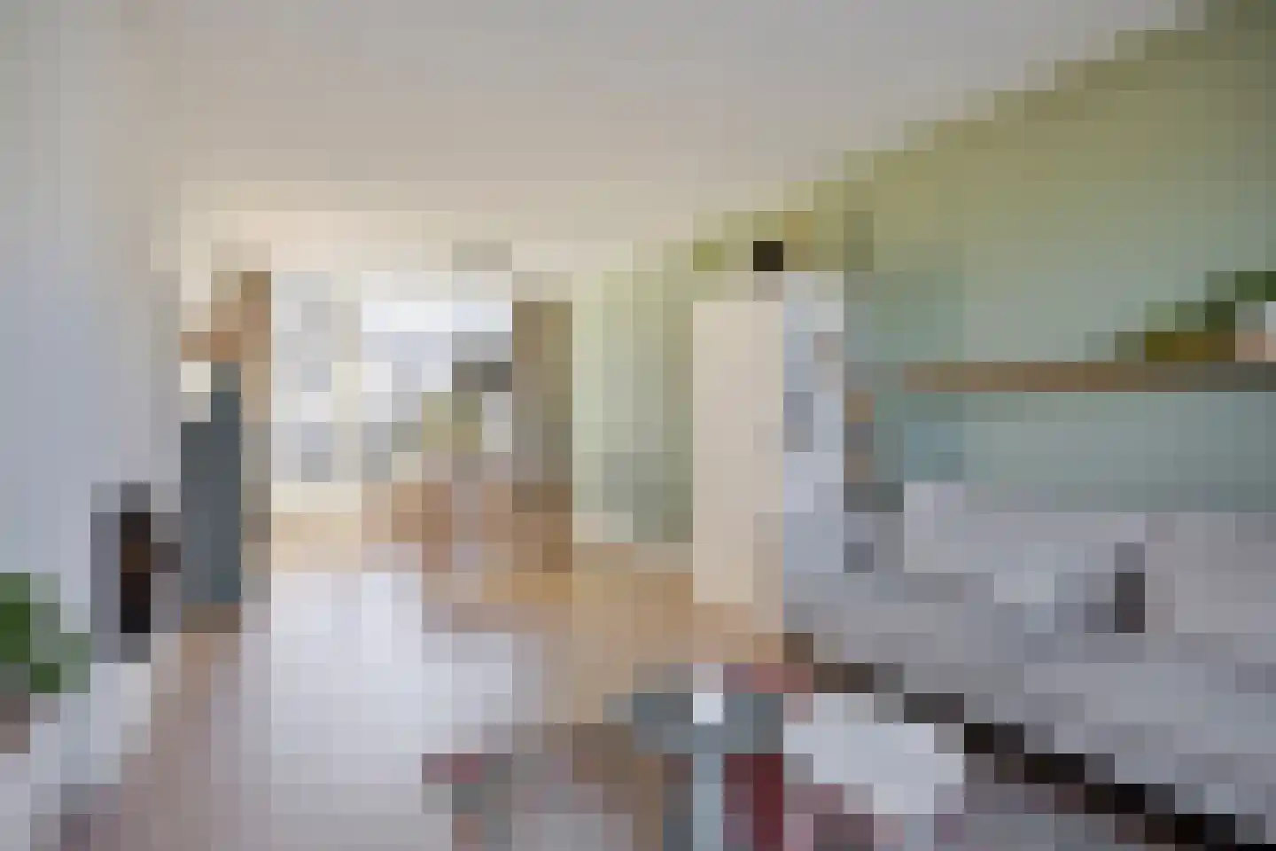 Zwanenstrek 30 Terheijden thumbnail 9