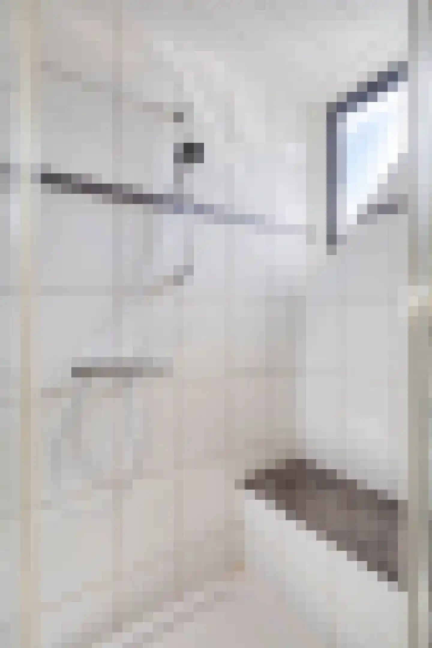 Zwanenstuck 32 Nuenen thumbnail 30