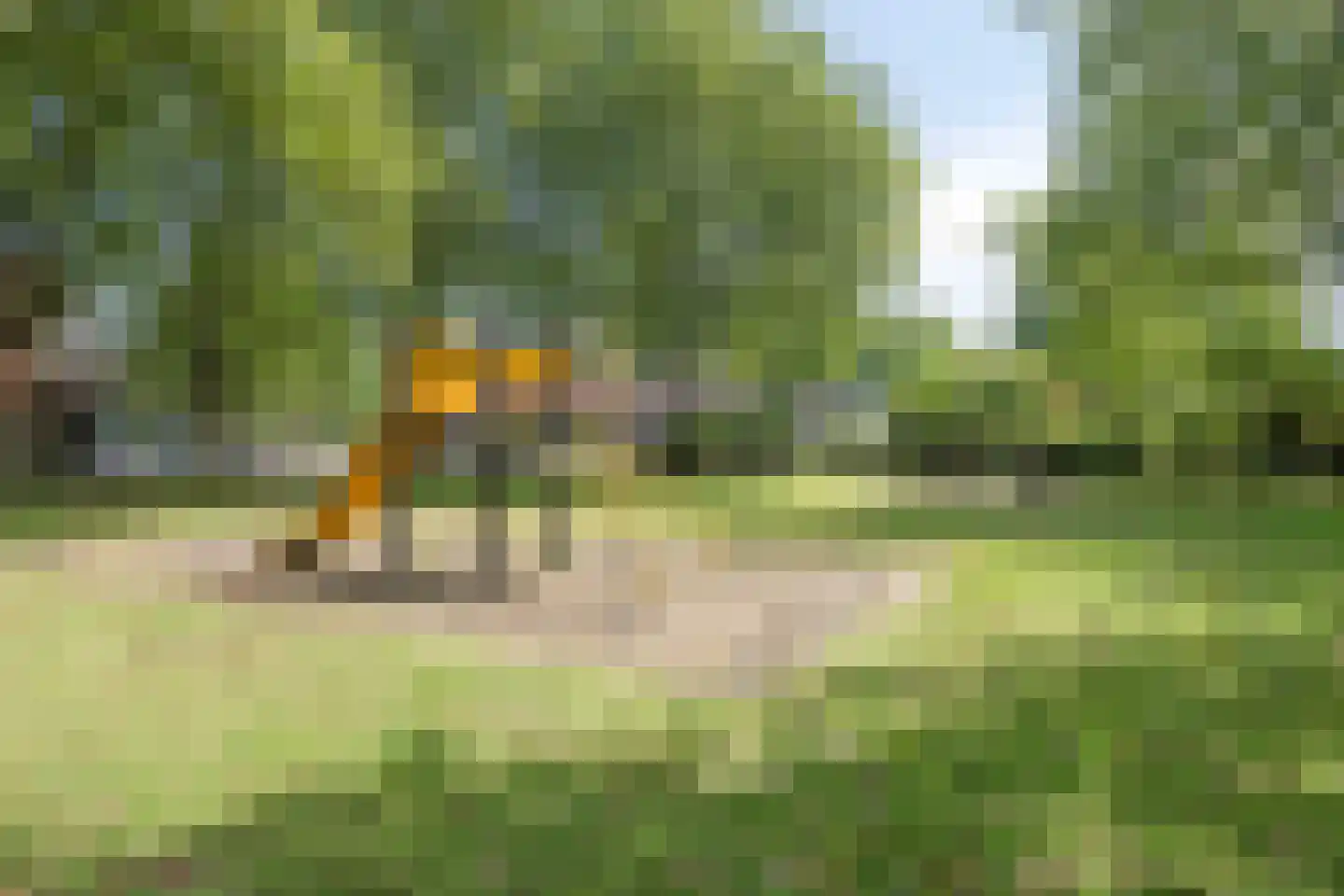 Zwanenstuck 32 Nuenen thumbnail 38