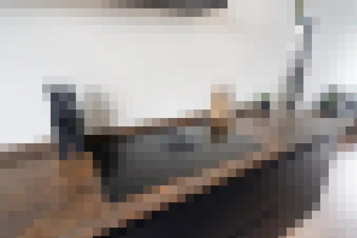 Zwanenvechtlaan 100 Utrecht thumbnail 11